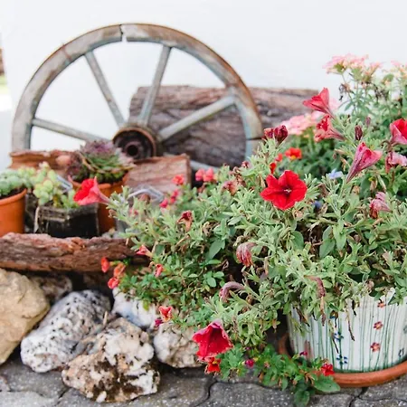 شقة Ferienparadies Wiesenbauer