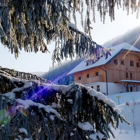 Ferienparadies Wiesenbauer شقة *