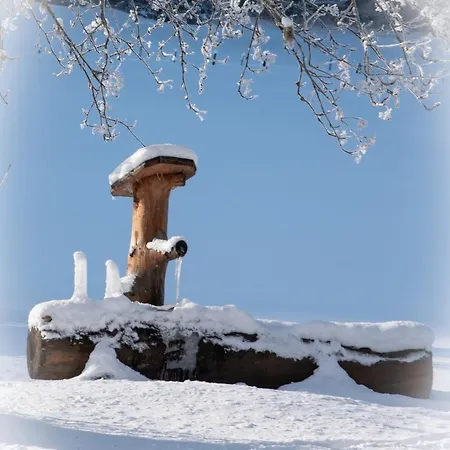 Ferienparadies Wiesenbauer *