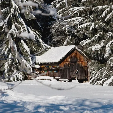 Ferienparadies Wiesenbauer سانكت مايكل ايم لون
